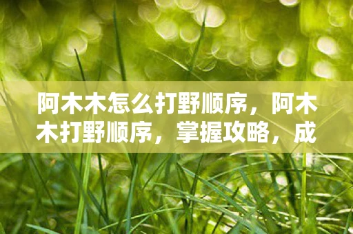 阿木木怎么打野顺序,阿木木打野顺序,掌握攻略,成为野区霸主 阿木木怎么打野顺序,阿木木打野顺序,掌握攻略,成为野区霸主