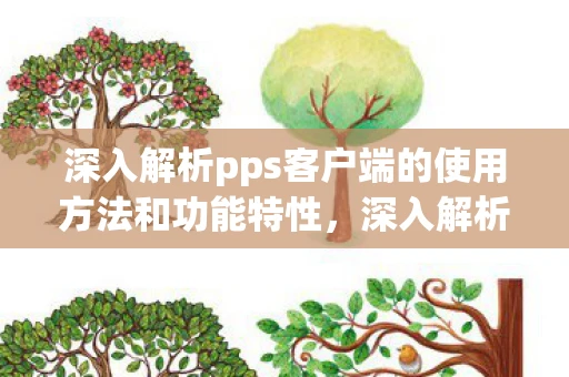 深入解析pps客户端的使用方法和功能特性,深入解析PPS客户端的使用方法和功能特性 深入解析pps客户端的使用方法和功能特性,深入解析PPS客户端的使用方法和功能特性