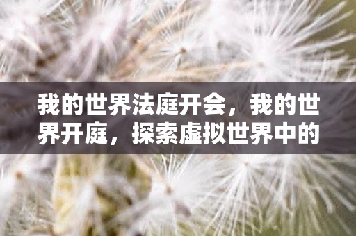 我的世界法庭开会,我的世界开庭,探索虚拟世界中的法律与秩序 我的世界法庭开会,我的世界开庭,探索虚拟世界中的法律与秩序