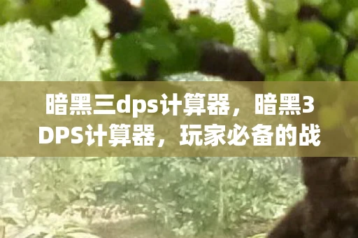 暗黑三dps计算器，暗黑3DPS计算器，玩家必备的战斗助手