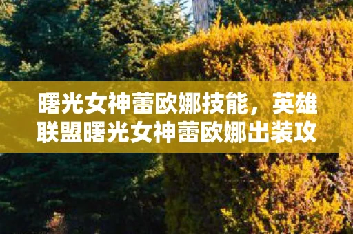 曙光女神蕾欧娜技能，英雄联盟曙光女神蕾欧娜出装攻略