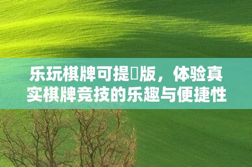 乐玩棋牌可提現版，体验真实棋牌竞技的乐趣与便捷性