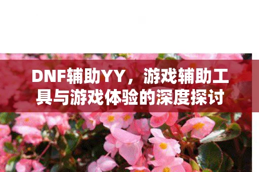 游戏辅助工具与游戏体验的深度探讨图片
