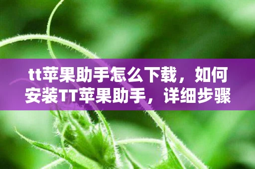 tt苹果助手怎么下载,如何安装TT苹果助手,详细步骤指南 tt苹果助手怎么下载,如何安装TT苹果助手,详细步骤指南