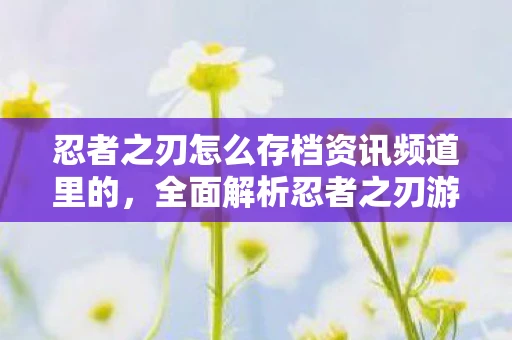 忍者之刃怎么存档资讯频道里的，全面解析忍者之刃游戏存档方法