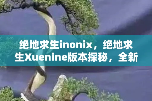 绝地求生inonix,绝地求生Xuenine版本探秘,全新体验下的战术竞技战场 绝地求生inonix,绝地求生Xuenine版本探秘,全新体验下的战术竞技战场