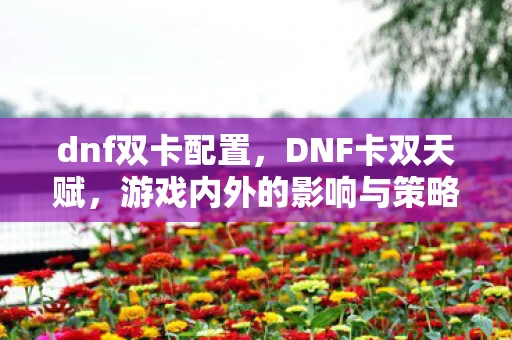 dnf双卡配置，DNF卡双天赋，游戏内外的影响与策略