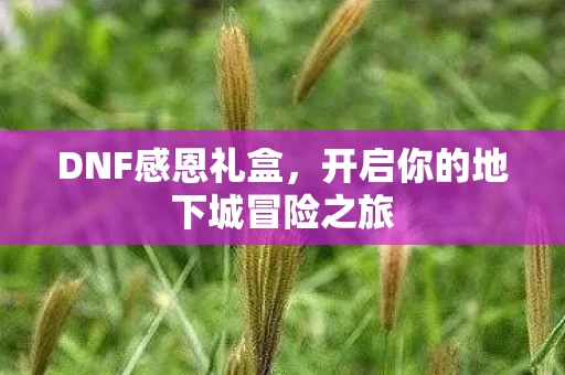开启你的地下城冒险之旅图片