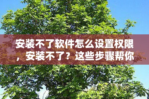 安装不了软件怎么设置权限，安装不了？这些步骤帮你解决问题
