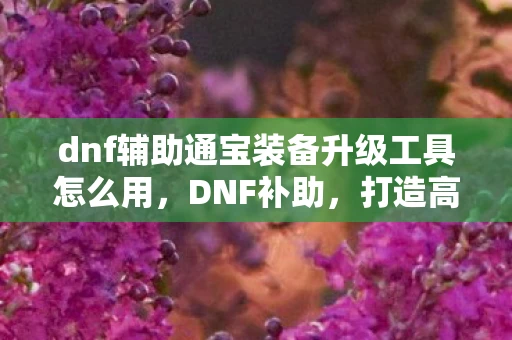 dnf辅助通宝装备升级工具怎么用，DNF补助，打造高效角色，提升游戏体验