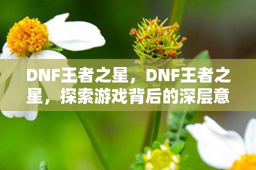 DNF王者之星，DNF王者之星，探索游戏背后的深层意义