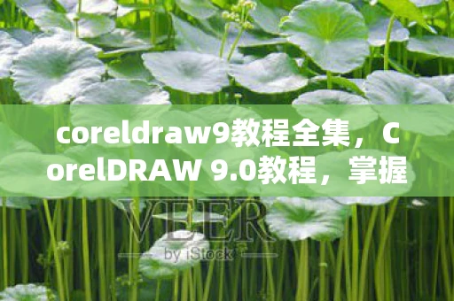 coreldraw9教程全集，CorelDRAW 9.0教程，掌握矢量图形设计的基础工具