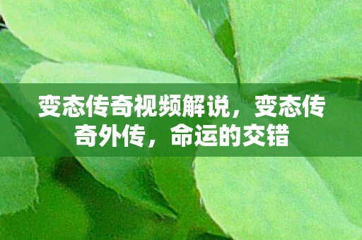 变态传奇视频解说，变态传奇外传，命运的交错