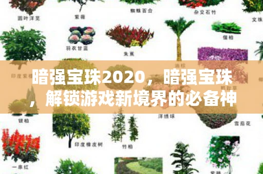 暗强宝珠2020，暗强宝珠，解锁游戏新境界的必备神器
