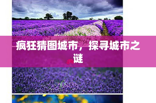 疯狂猜图城市图片