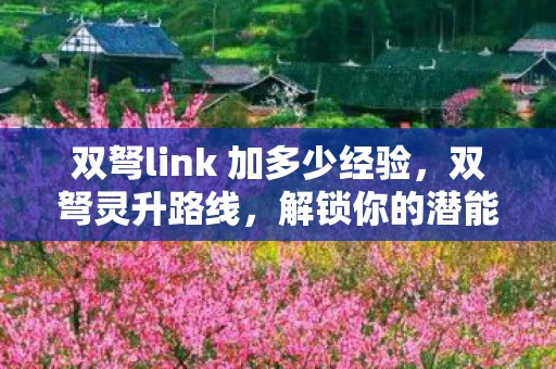 双弩link 加多少经验，双弩灵升路线，解锁你的潜能，成就非凡人生