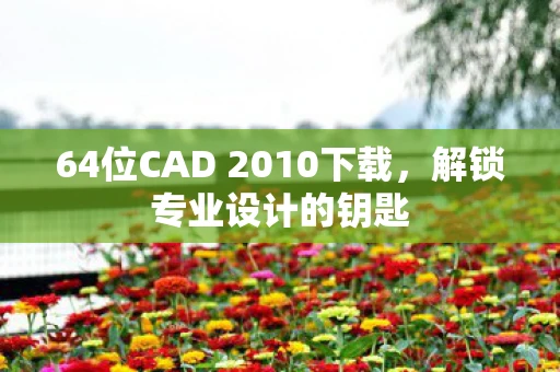 64位CAD 2010下载，解锁专业设计的钥匙