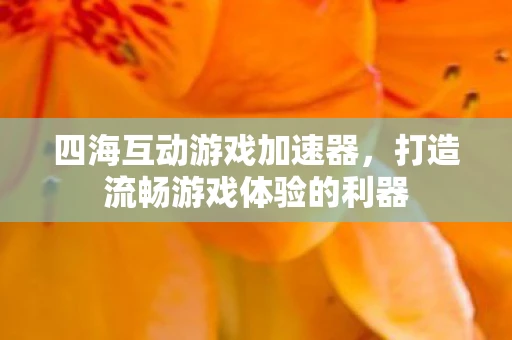 四海互动游戏加速器，打造流畅游戏体验的利器