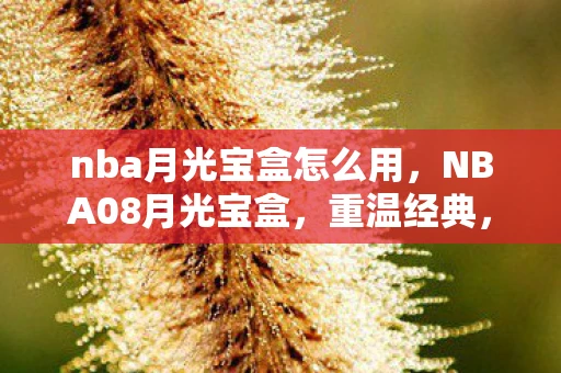 nba月光宝盒怎么用，NBA08月光宝盒，重温经典，致敬传奇