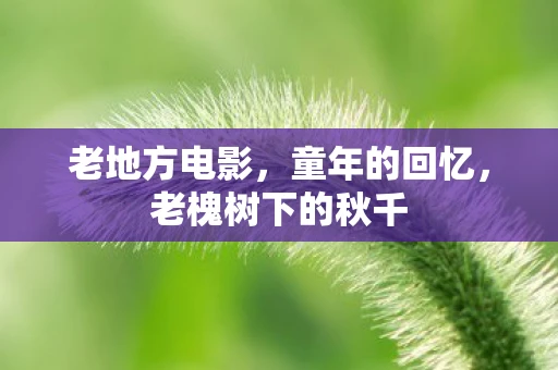 老地方电影，童年的回忆，老槐树下的秋千