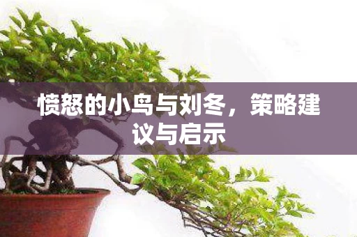 愤怒的小鸟与刘冬图片