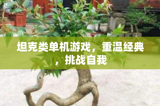 坦克类单机游戏，重温经典，挑战自我