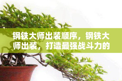 钢铁大师出装顺序，钢铁大师出装，打造最强战斗力的秘密