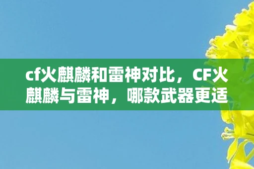 cf火麒麟和雷神对比，CF火麒麟与雷神，哪款武器更适合你？