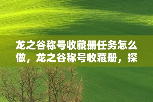 龙之谷称号收藏册任务怎么做，龙之谷称号收藏册，探索荣耀与传奇的印记