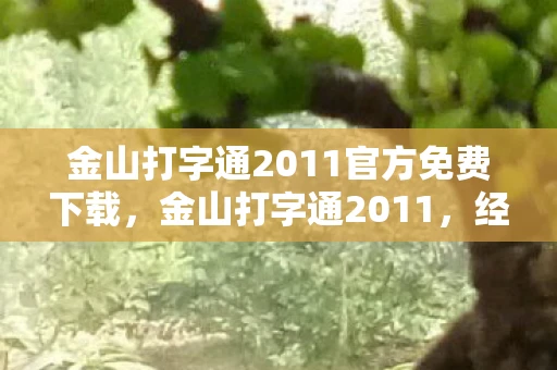 金山打字通2011官方免费下载，金山打字通2011，经典打字软件的传承与革新