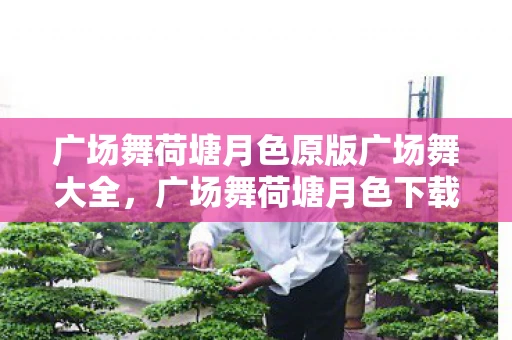 广场舞荷塘月色原版广场舞大全，广场舞荷塘月色下载全攻略