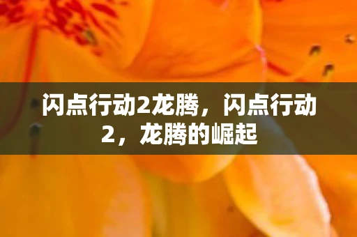 闪点行动2龙腾，闪点行动2，龙腾的崛起