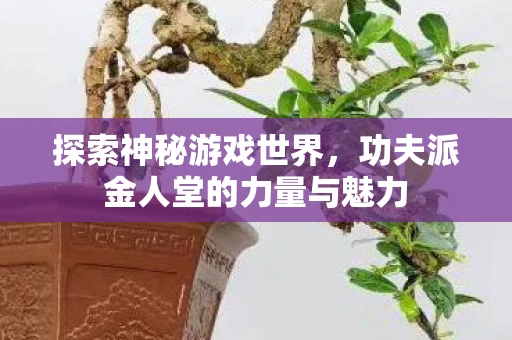 功夫派金人堂的力量与魅力图片