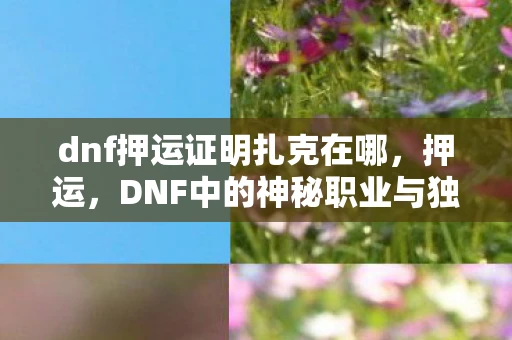 dnf押运证明扎克在哪，押运，DNF中的神秘职业与独特玩法
