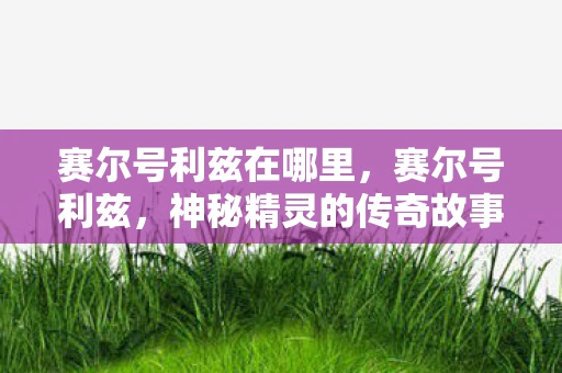 赛尔号利兹在哪里，赛尔号利兹，神秘精灵的传奇故事
