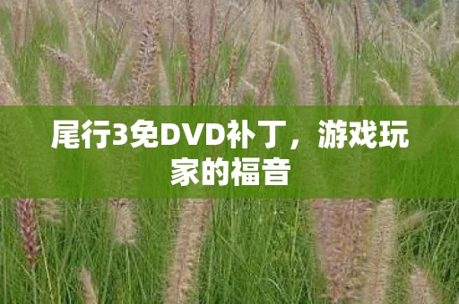 尾行3免DVD补丁图片