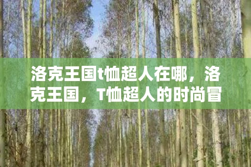 洛克王国t恤超人在哪，洛克王国，T恤超人的时尚冒险