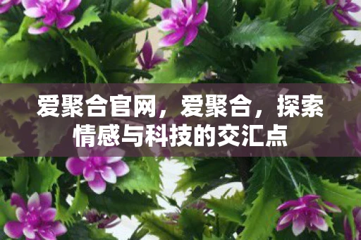 爱聚合官网，爱聚合，探索情感与科技的交汇点