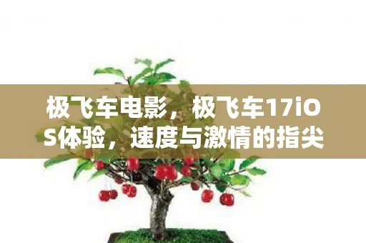 极飞车电影，极飞车17iOS体验，速度与激情的指尖盛宴