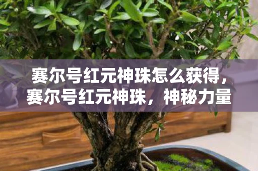 赛尔号红元神珠怎么获得，赛尔号红元神珠，神秘力量的觉醒