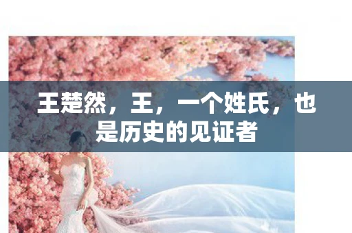 王楚然，王，一个姓氏，也是历史的见证者