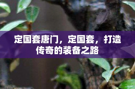 定国套唐门，定国套，打造传奇的装备之路