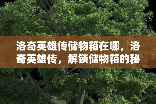 洛奇英雄传储物箱在哪，洛奇英雄传，解锁储物箱的秘密