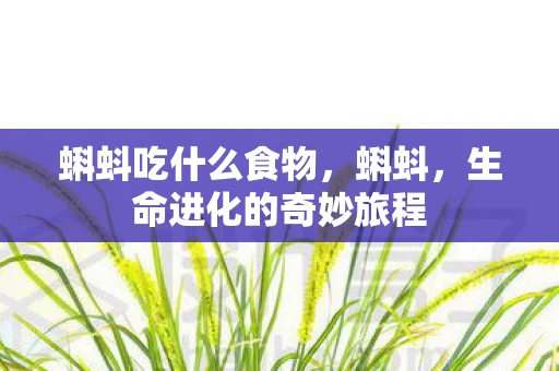 蝌蚪吃什么食物，蝌蚪，生命进化的奇妙旅程