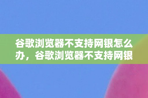 谷歌浏览器不支持网银怎么办，谷歌浏览器不支持网银？真相与解决方案