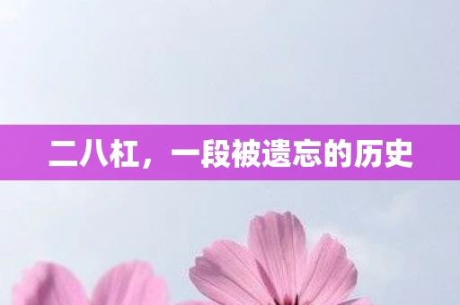 二八杠，一段被遗忘的历史