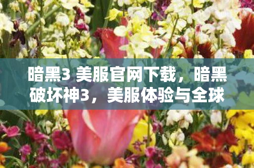 暗黑3 美服官网下载，暗黑破坏神3，美服体验与全球玩家互动的深度剖析
