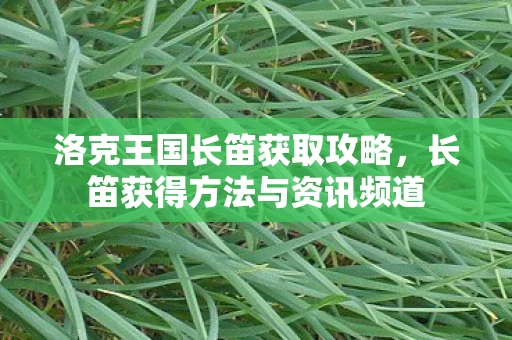 长笛获得方法与资讯频道图片