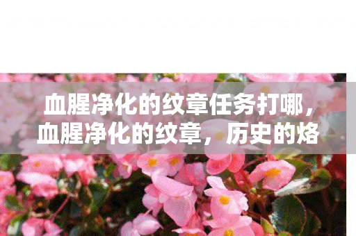 血腥净化的纹章任务打哪，血腥净化的纹章，历史的烙印与文化的传承