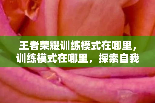 王者荣耀训练模式在哪里，训练模式在哪里，探索自我提升与成长的奥秘